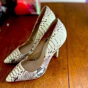 Steve Madden, Made in Brazil, reptile print heels. Gorgeous and little wear.